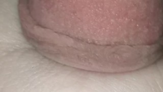 Chub Dick Pre-Cums