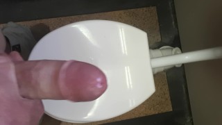 Public toilet jerkoff and cum shot Cape Town, South Africa.