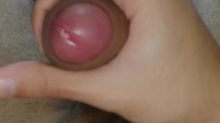 Jerking off in my old room - Camilo Brown