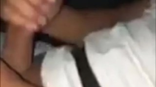 Playing with him while My Lyft driver takes me home