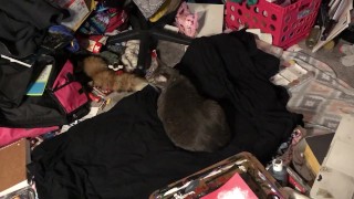 Playing With my Hairy Pussy