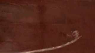 Pissing all over apartment