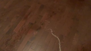 Pissing in my vacant apartment to teach asshole landlord 