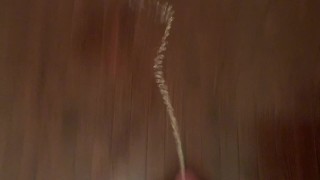 Pissing in my vacant apartment to teach asshole landlord 