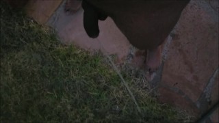 kinky random piss play