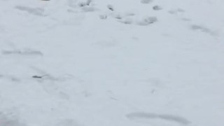 Jogging to my car teaser