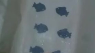 Shower piss
