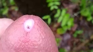 pissing and masturbate in forrest