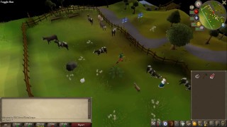 Guy makes steak at Duel Arena