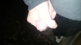Quickie masturbating outside high. Squirt cum outside at night.