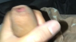 Santi slowcum