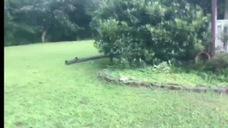 Big Country using some muscle to excite the wife part 2