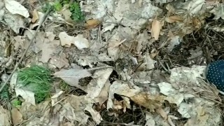CUMSHOT TIME LAPSE!!!