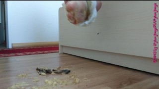 Bananen Crush in Weißer Feinstrumpfhose ** FAN Video 16 **
