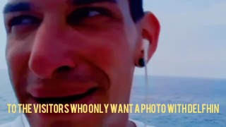 cierran parque por delfín sexo con visitantes / Breakhub
