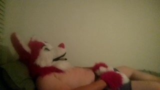 Cute pink huskey paws off