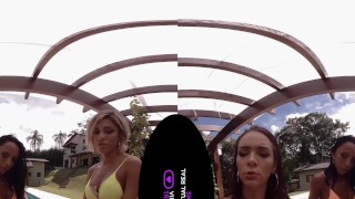 VirtualRealTrans.com - Spring breakers