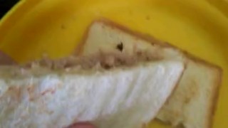 This tuna and cheese sand which with lime and pepper is so fucking good