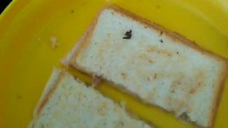 This tuna and cheese sand which with lime and pepper is so fucking good