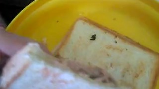 This tuna and cheese sand which with lime and pepper is so fucking good