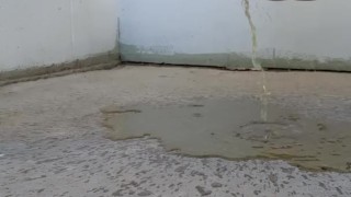 Peeing On The Concrete