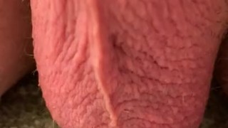 Jumping testicles