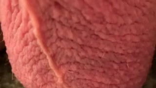 Jumping testicles