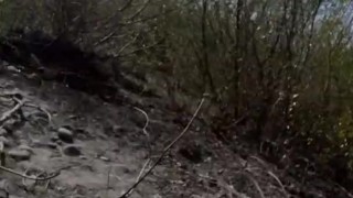 Quick Vlog and Pee Down By The River