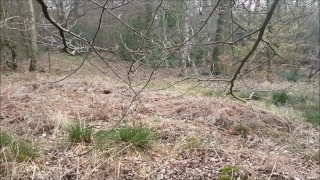 Cum Over Me in the Woods