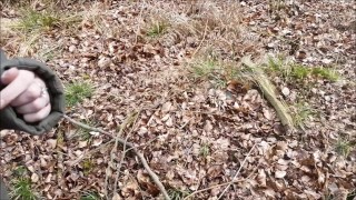 Cum Over Me in the Woods