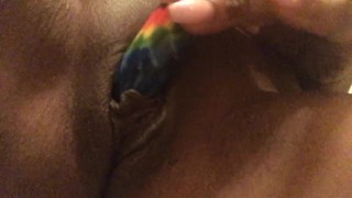 Kitty Cat Play