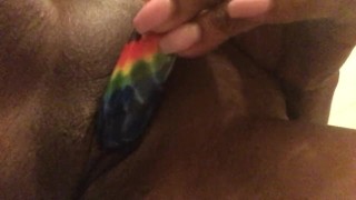 Kitty Cat Play