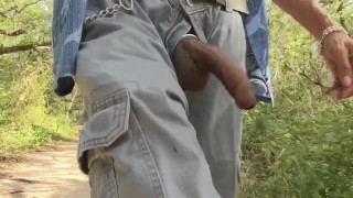 A Walk And A Stroke At The State Park