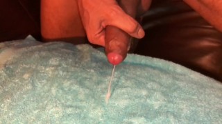 Blue Towel Nut Three