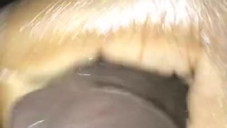 Black guy jerks off to porn and cums