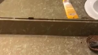 Shaved just for you, please tell me im trash.