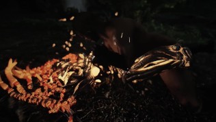 skyrim Female monster Spriggan Matron porn