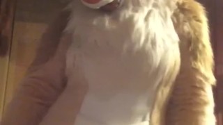 Fursuit striptease