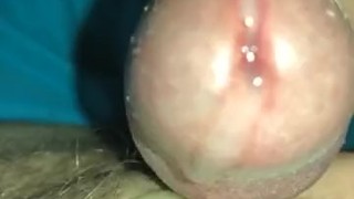 Exciting 7