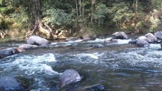 Topless at the river