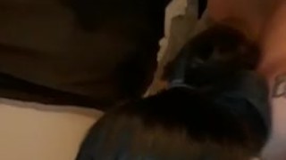 she loves my cock