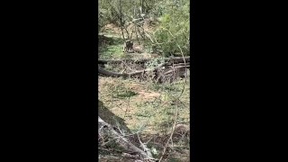 Australian Nude Hiking Swimming and Sex Story