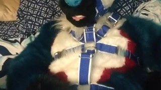 Pawing off in a harness