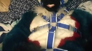 Pawing off in a harness