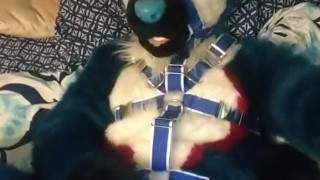 Pawing off in a harness