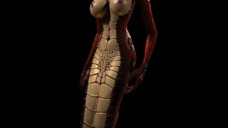 Sha'an Walk Cycle (Model V1)