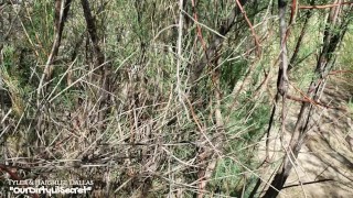 Sneaky Public Blowjob A Mouthful of Cum - OurDirtyLilSecret