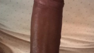 Pleasure fot my Big Dick