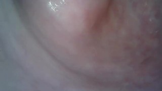 Filmed the vagina from the inside