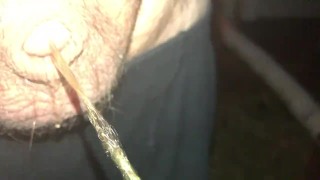 Lances little dic pissing outside